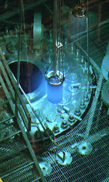 Auf dem Weg zur Insel der Stabilität: Superschweres Element 117 nachgewiesen