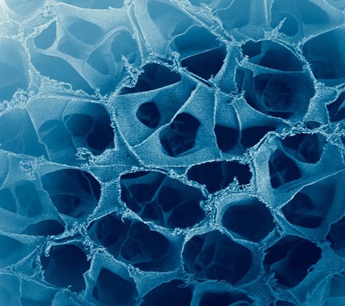Neuer Akzent in der Forschungslandschaft: Eröffnung des Projekthauses NanoBioMater