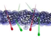 Nanotechnologie: Der Ionenstrahl als Nano-Schrotflinte Nanotechnologie: Der Ionenstrahl als Nano-Schrotflinte