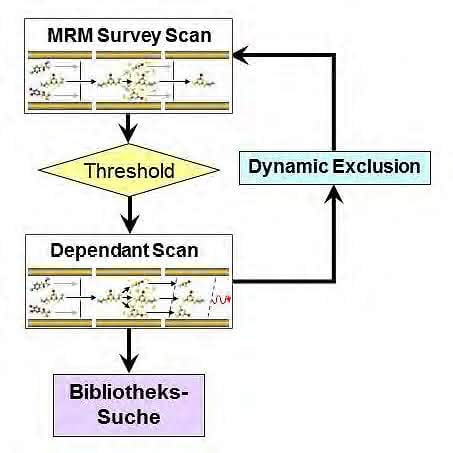 Triple-Quadrupol-Massenspektrometer: Teil- 2: Steigerung der Selektivität Triple-Quadrupol-Massenspektrometer: Teil- 2: Steigerung der Selektivität