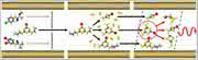 Triple-Quadrupol-Massenspektrometer: Teil- 2: Steigerung der Selektivität Triple-Quadrupol-Massenspektrometer: Teil- 2: Steigerung der Selektivität