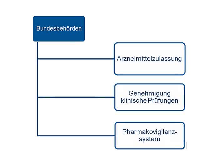 Arzneimittelüberwachung in Deutschland: Teil 2: BfArM und PEI Arzneimittelüberwachung in Deutschland: Teil 2: BfArM und PEI
