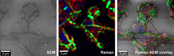 analytica-Neuheit: Korrelatives Raman-SEM-Mikroskop