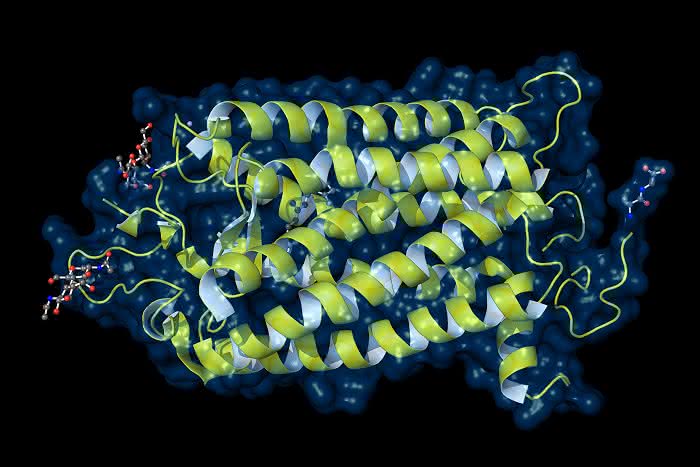 Life Sciences Innovations: Dynamische Lichtstreuung - ein perfektes Werkzeug für die Analytik therapeutischer Proteine Life Sciences Innovations: Dynamische Lichtstreuung - ein perfektes Werkzeug für die Analytik therapeutischer Proteine