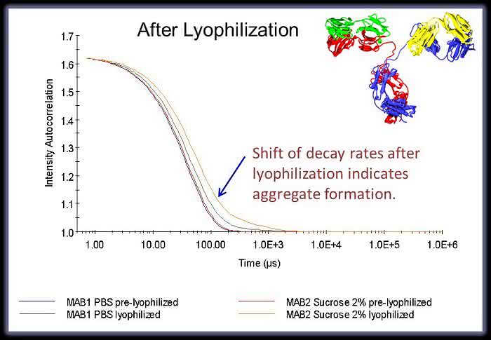 Life Sciences Innovations: Dynamische Lichtstreuung - ein perfektes Werkzeug für die Analytik therapeutischer Proteine