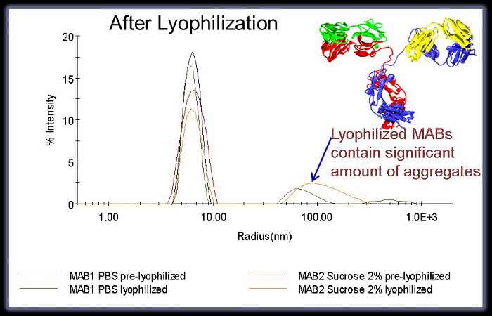 Life Sciences Innovations: Dynamische Lichtstreuung - ein perfektes Werkzeug für die Analytik therapeutischer Proteine