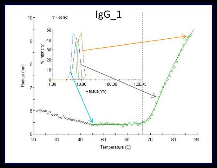 Life Sciences Innovations: Dynamische Lichtstreuung - ein perfektes Werkzeug für die Analytik therapeutischer Proteine