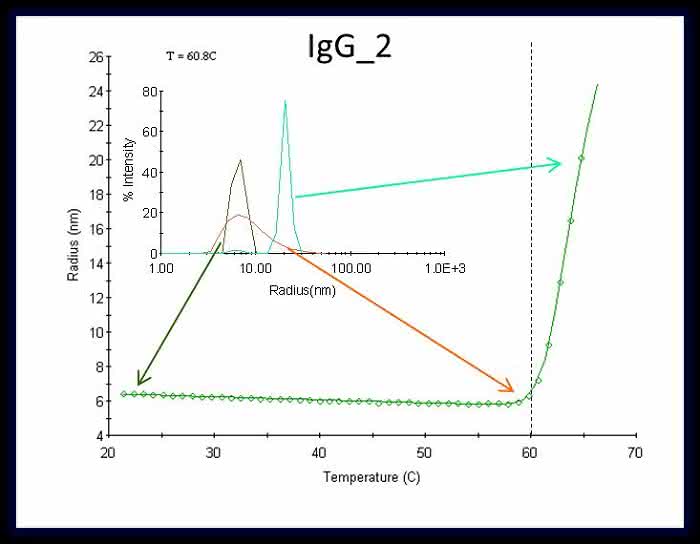 Life Sciences Innovations: Dynamische Lichtstreuung - ein perfektes Werkzeug für die Analytik therapeutischer Proteine