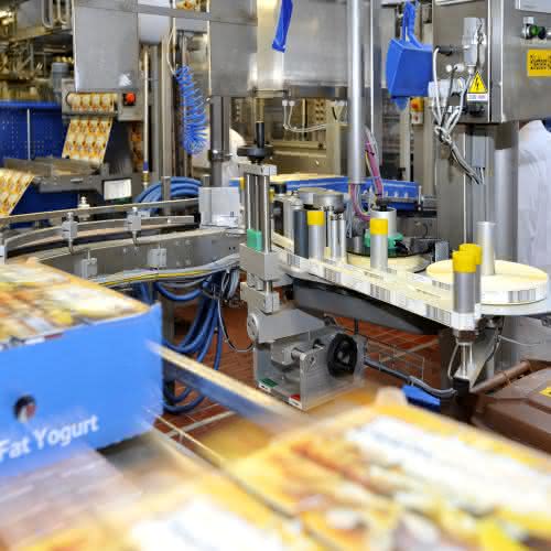 Software: Lösungen für die Informationslogistik