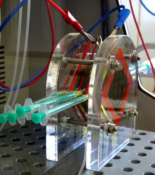 Bakterien-Batterie: Fisher Scientific treibt Spitzenforschung voran Bakterien-Batterie: Fisher Scientific treibt Spitzenforschung voran