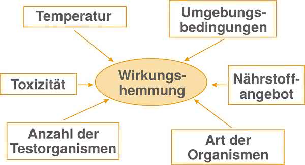 Toxizitätsmessung: Vertrauen ist gut, Kontrolle ist besser