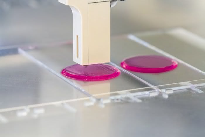 Unterschiedliche Gewebe einfach ausdrucken: Organe aus dem Drucker