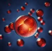 Exzision viraler Vektoren aus iPS-Zellen unter Verwendung von zellmembrangängigem TAT-Cre-Protein: Effiziente Gewinnung transgenfreier iPS-Zellen