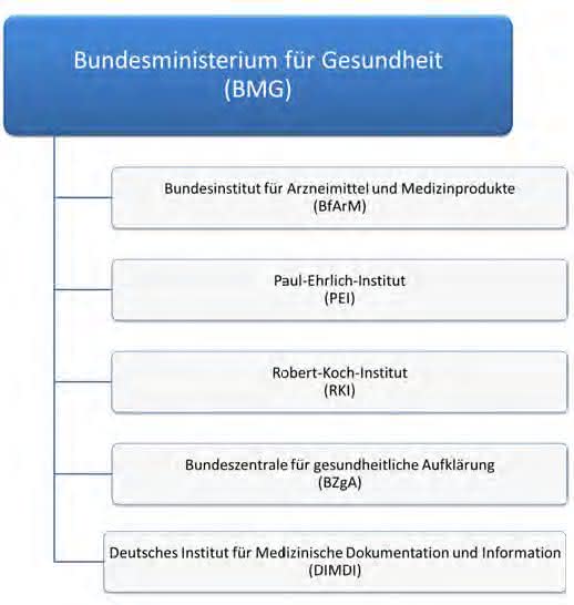 Arzneimittelüberwachung in Deutschland: Teil 1: Das Bundesministerium für Gesundheit (BMG)