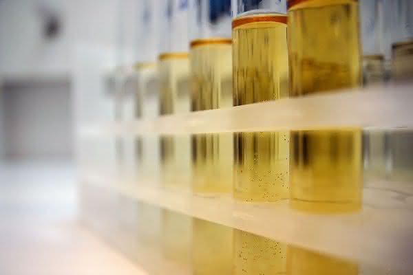 Der Eskimo-Effekt: Alkoholate von Evonik werden bei der Herstellung von Omega-3-Fischöl-Konzentrat eingesetzt