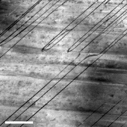 Mögliche Datenspeicherung der Zukunft in Grenzflächen: Wissenschaftler entdecken polare Wände in antiferroelektrischem Material
