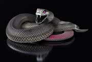 Black Mamba als Überraschung: Eisenblätter: Vorfreude auf Eisenwarenmesse 2014