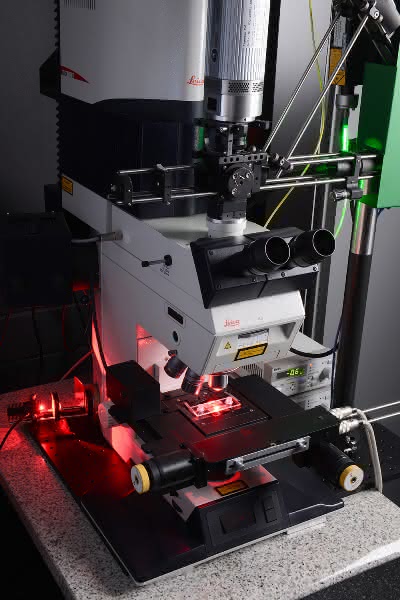 Pharmazeutika schneller testen: Holographische Mikroskopie plus optische Pinzette