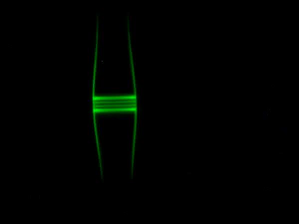 Quanten-Lichtschalter: Ein einzelnes Atom als Lichtschalter