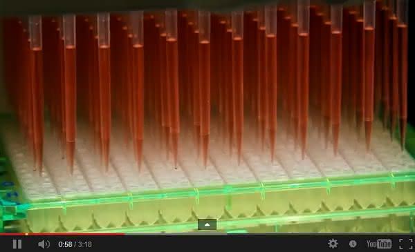 Demonstrations-Video: Hochleistungs-Screening in der zellulären Bioenergetik