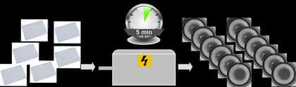 High-Speed-Mikroskopie: Screening von Mikrotiterplatten