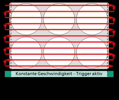 High-Speed-Mikroskopie: Screening von Mikrotiterplatten High-Speed-Mikroskopie: Screening von Mikrotiterplatten