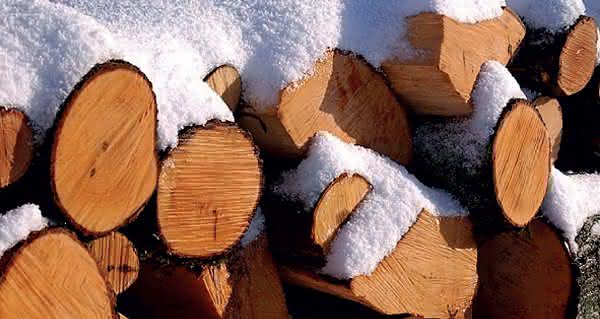 Wasserstoffproduktion: Energie aus Holz