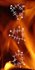 Als Umweltgift entlarvt: Aus für Flammschutzmittel HBCD Als Umweltgift entlarvt: Aus für Flammschutzmittel HBCD