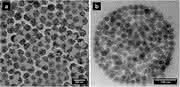 Helmholtz-Doktorandenpreise: Nanostrukturierte Partikel und Endlagersicherheit