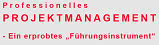 DIF-Seminar: Professionelles Projektmanagement DIF-Seminar: Professionelles Projektmanagement