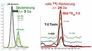 "Tuning" und Veredelung von chromatographischen Analysenverfahren durch isotopenmarkierte interne Standards: Von klassischen Methoden zur Stabilisotopenverdünnungsanalytik