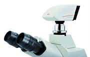 Mikroskopie und Bildauswertung: Leica Microsystems stellt zwei neue Mikroskopkameras vor Mikroskopie und Bildauswertung: Leica Microsystems stellt zwei neue Mikroskopkameras vor