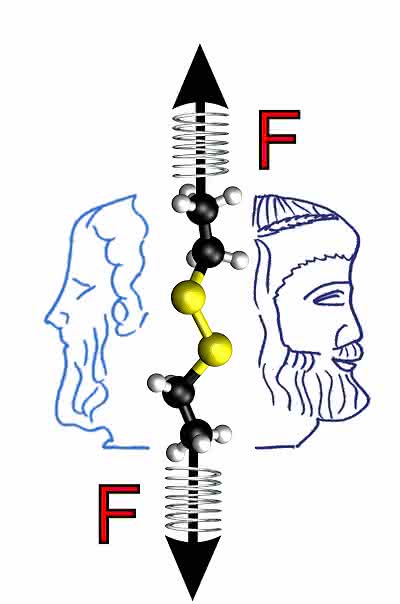 News: RUB-Forscher enttarnen Janus-Natur mechanischer Kräfte