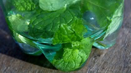Polyethylenterephthalat wird bis 2020 zum wichtigsten Biopolymer: Biokunststoff PET Polyethylenterephthalat wird bis 2020 zum wichtigsten Biopolymer: Biokunststoff PET