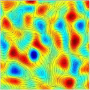 Das physikalische Labor: Der Tanz der Bakterien