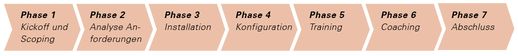 Wirtschaft + Unternehmen: Projektmanagement: Quick-Start in vier Wochen
