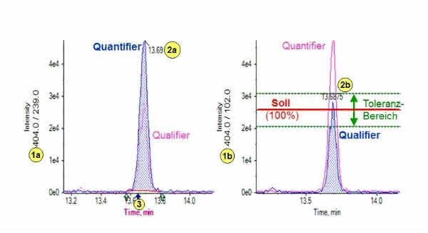 "Tuning" und Veredelung von chromatographischen Analysenverfahren durch isotopenmarkierte interne Standards: Von klassischen Methoden zur Stabilisotopenverdünnungsanalytik
