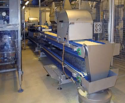 Transportbänder: Für die Lebensmittelproduktion Transportbänder: Für die Lebensmittelproduktion