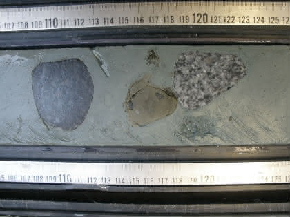 Life Sciences Innovations: Was Fossilien über Ökosysteme in der Antarktis verraten