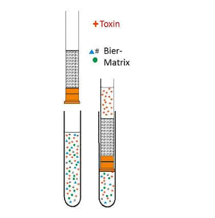 Instrumentelle Analytik: Mykotoxinanalytik in Bier