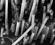 Thermoplastprofil mit E-Modul bis 24 GPa: Endlosfaserverstärkte Profile mit extremer Steifigkeit Thermoplastprofil mit E-Modul bis 24 GPa: Endlosfaserverstärkte Profile mit extremer Steifigkeit