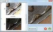 News: Professional Imaging – dhs auf der Control 2013