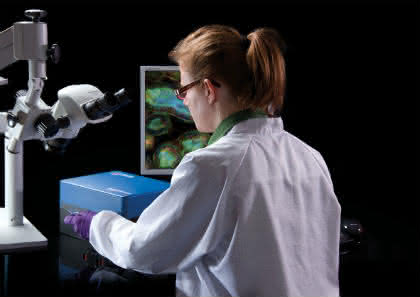 News: Biophotonik sorgt für schnellere Diagnosen und effizientere Therapien