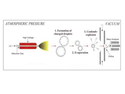 Instrumentelle Analytik: Ionisationstechniken in der LC/MSEin Überblick für Einsteiger Instrumentelle Analytik: Ionisationstechniken in der LC/MSEin Überblick für Einsteiger