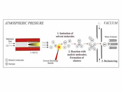 Instrumentelle Analytik: Ionisationstechniken in der LC/MSEin Überblick für Einsteiger