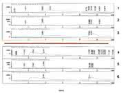 Der HPLC-Tipp im November: Peaks auf einer Flanke - mögliche Konsequenzen und Maßnahmen
