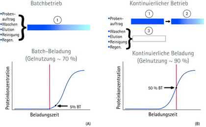 Wirtschaftliche Vorteile für Biopharmaka-Hersteller: Kontinuierliche Chromatographie