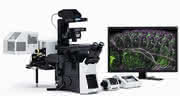 Laser-Scanning-Mikroskopie: Das neue Olympus FluoView FV1200 optimiert für die Darstellung lebender Zellen Laser-Scanning-Mikroskopie: Das neue Olympus FluoView FV1200 optimiert für die Darstellung lebender Zellen
