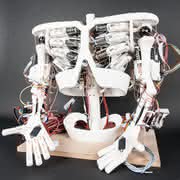 Wirtschaft + Unternehmen: Maxon: Der Torso von Roboy ist fertig