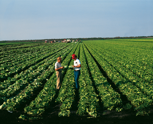 News: Bayer CropScience übernimmt Prophyta